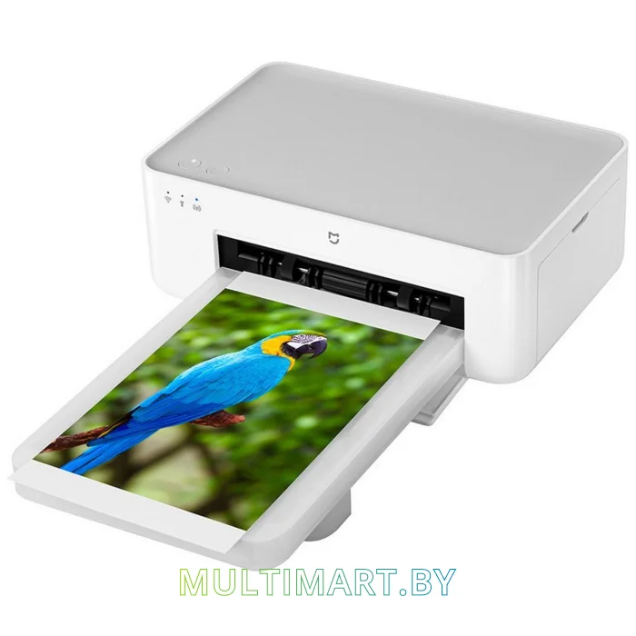Фотопринтер Xiaomi Instant Photo Printer 1S Set BHR6747GL (международная версия)